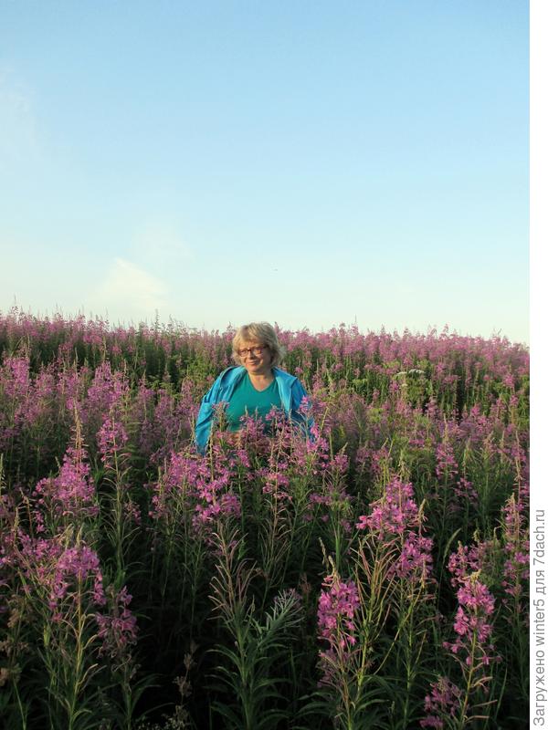 Хозяйка дачи