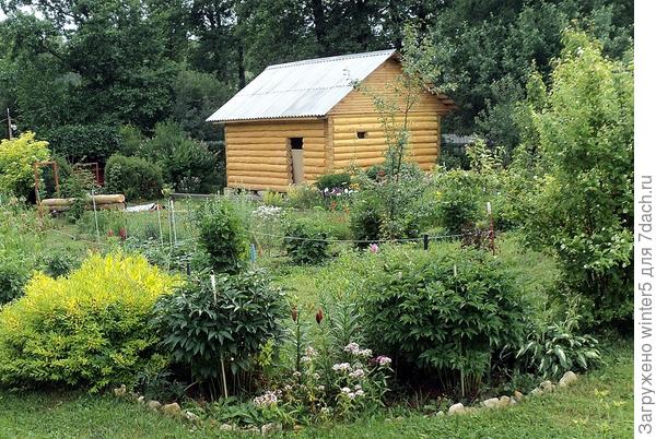 Сруб был отшлифован и окрашен Сенежем