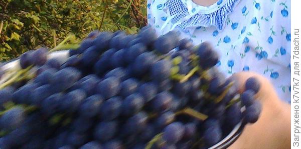 наш.только фотка плохая