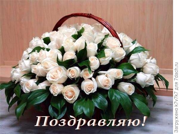 С ДНЕМ РОЖДЕНИЯ ВАС. ОТ ВСЕЙ ДУШИ.