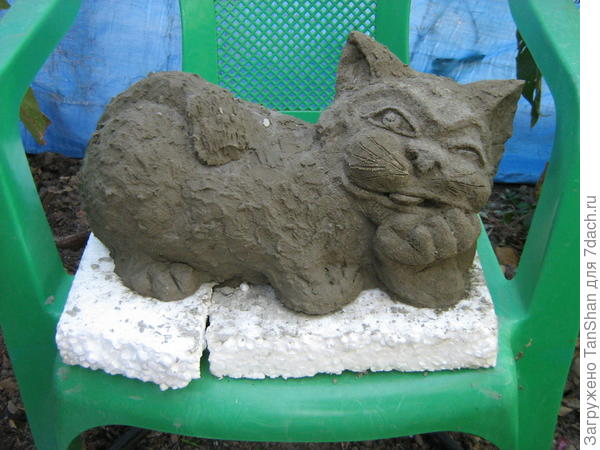 кот-мечтатель