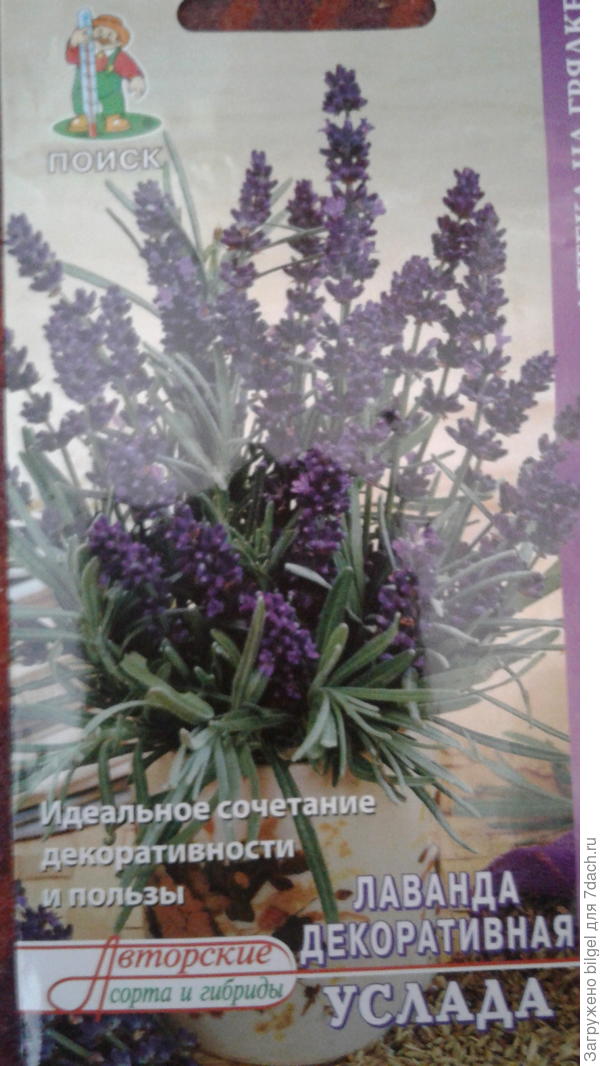 вот,муж купил опперативненько семена.прийду с работы посею.