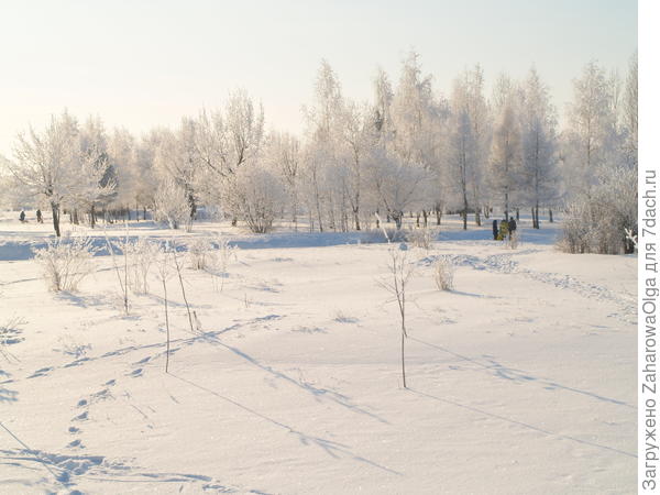 зима