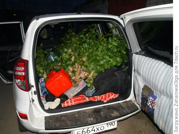 авто