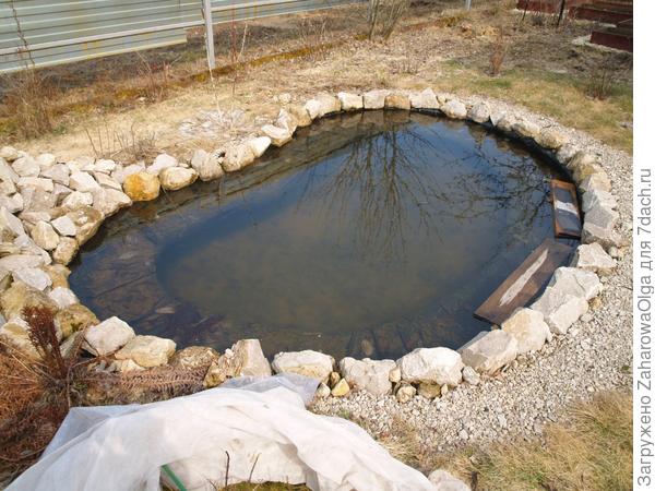 Водоём отлично перезимовал