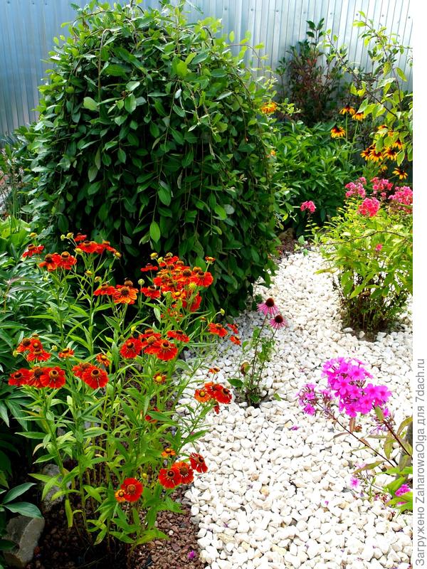 И вот такой стала