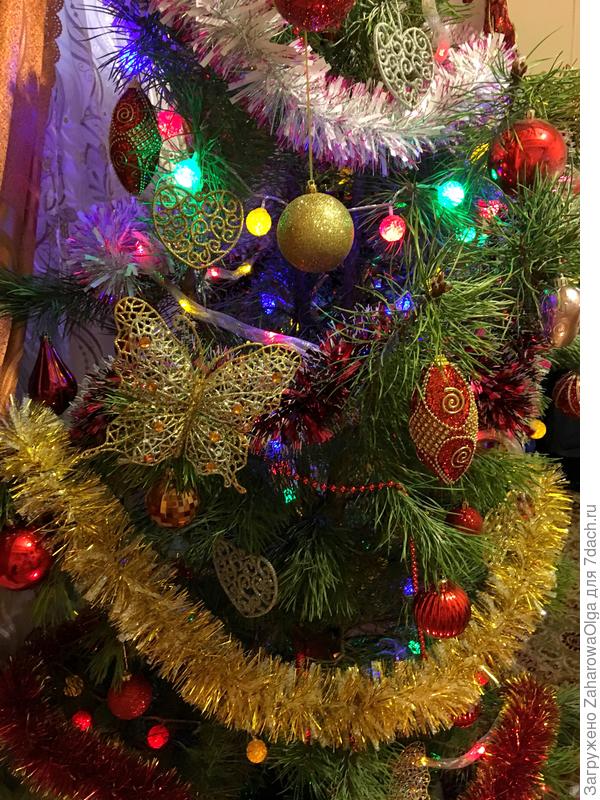 дом