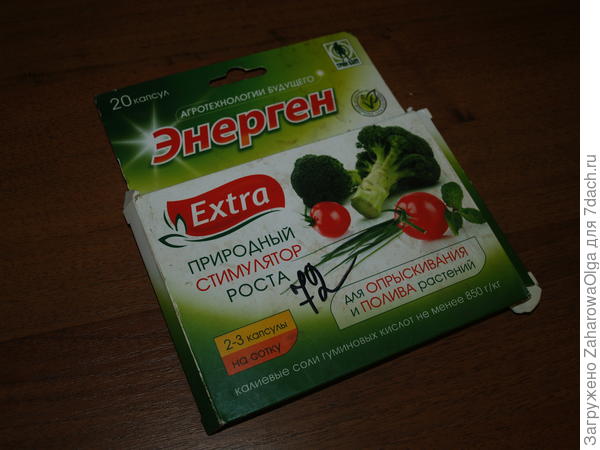 тест