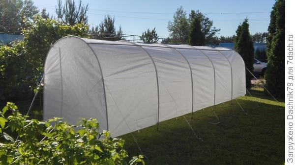 Большой парник