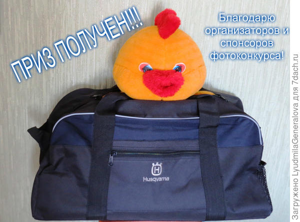 Приз - д о р о ж н а я  с у м к а!