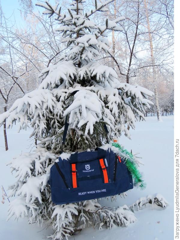 Хорошо ёлок много. На одну повесила сумку, под другую положила