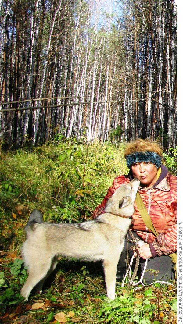 Иногда просила дать собаку, когда за грибами ходила. И то по краешку. Но с ней спокойней.