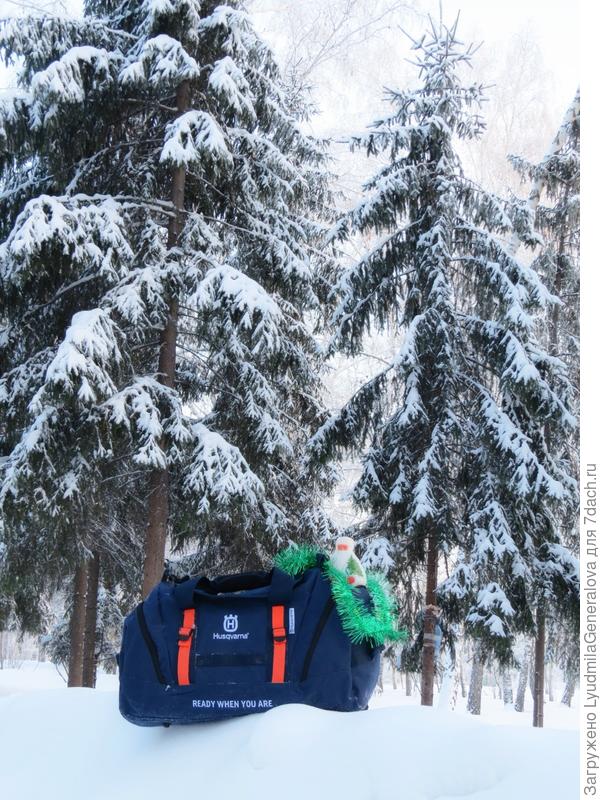 А к большим даже подходить не стала, снега - выше колен. Но первый снимок оказался лучшим, его и поставила в пост.