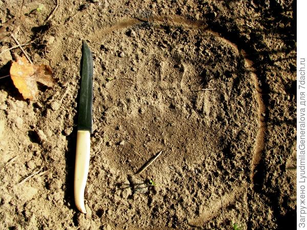 Вот медвежий чёткий след, я даже какашки его сфоткала, чтобы знать, да когда чистила комп после ухода на пенсию, удаляла пачками, потому что диск был переполнен.