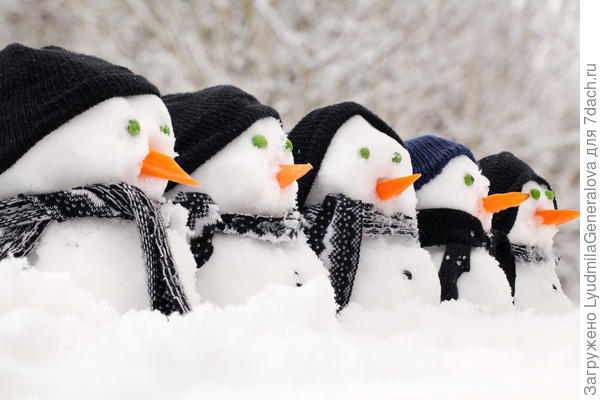 А вот почётный караул для победителей.;)