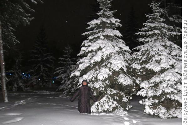Побродить между елей тоже приятно.