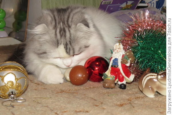 Чем бы дитя не тешилось...