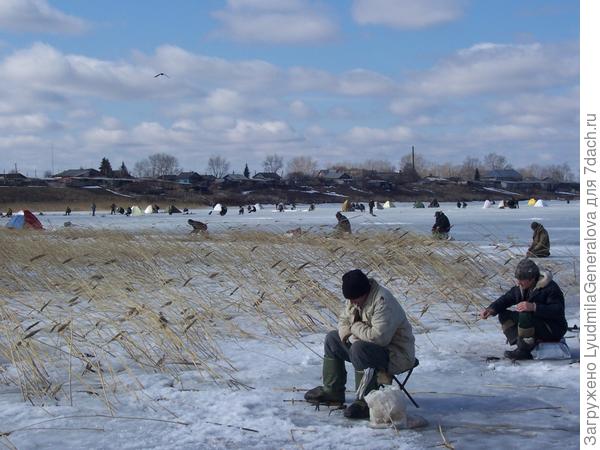 У нас и без соревнований в погожий день любителей рыбки полно. В основном, конечно, мужчины.    А летом - женщины с удочкой уже не редкость.