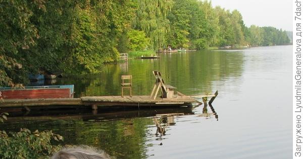 Видишь, Софи, какая благодать.