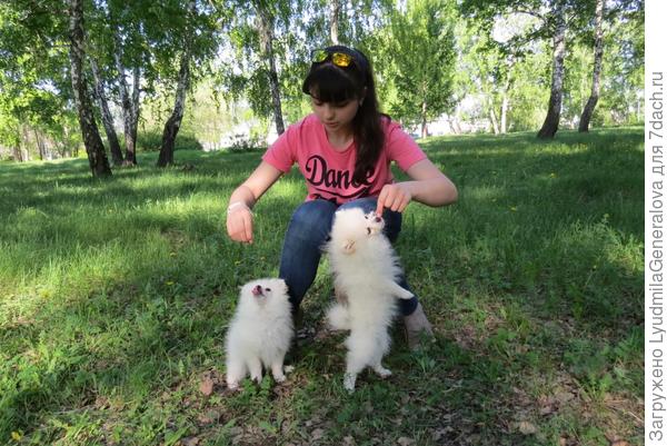 Они такие милые маленькие, а взрослые -  друзья. И часто - вернее людей.