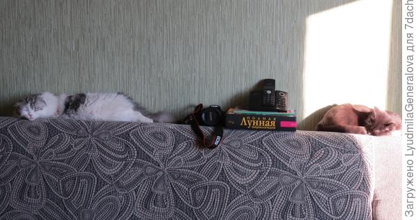 Вот полюбуйся .