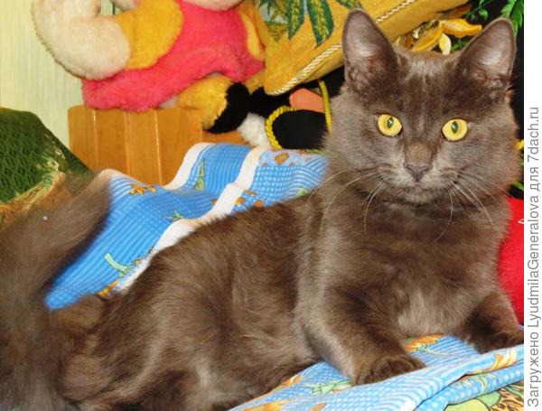 Вот и шкодный Обама "отметился" на сайте.