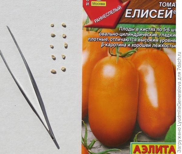 Семена для тестирования