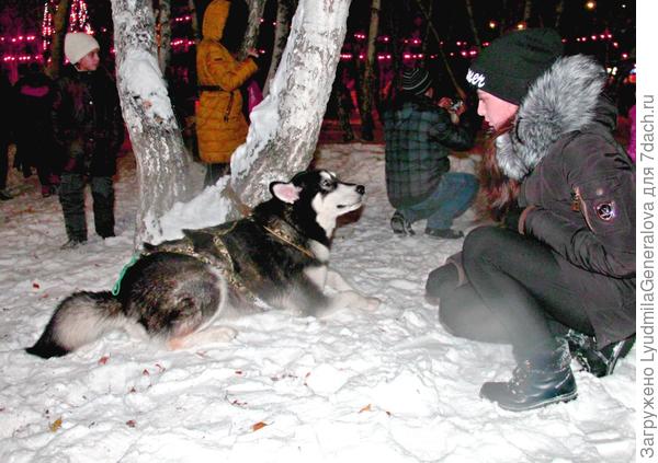 Ну что, устал?