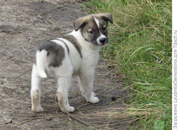 А я и не терялся...
