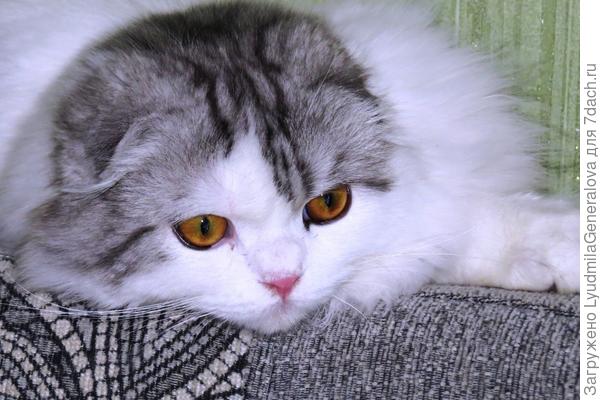 Взгрустнулось