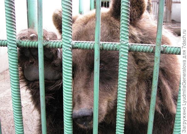 Взгляд с укоризной