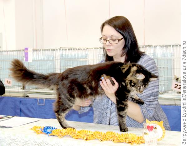 Похож на вашего.