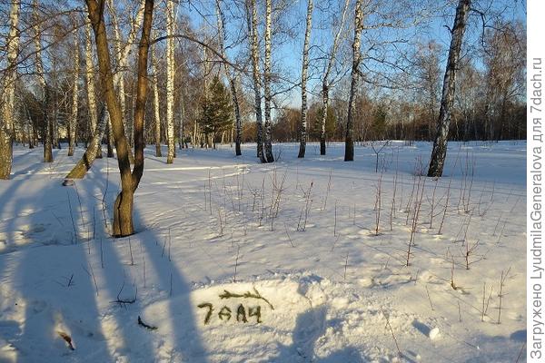 Снега ещё многовато. Главное, чтобы не таял быстро, а то "поплывём".