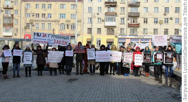 Вот несколько фотографий с этого мероприятия
