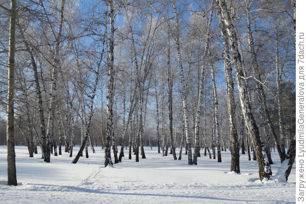 В марте-апреле наш парк выглядит так.