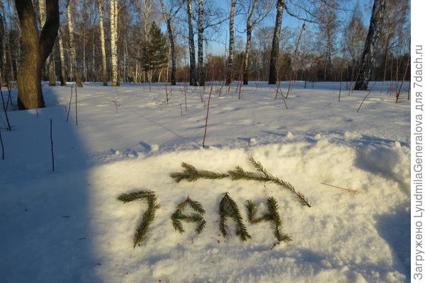 Из еловых веточек