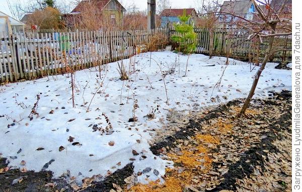 Вот такой снежный покров 9 апреля.