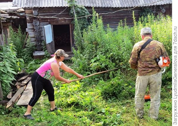Парень зашёл попросить спичек и ... выкосил добрую четвертинку двора. Мы бы и за день столько не сделали.