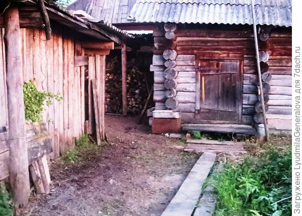 Из баньки даже по темноте можно идти без боязни наступить на змею. А это не только порядок, но и душевный покой.
