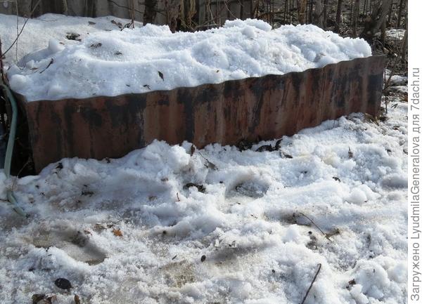 Наполненная снегом ёмкость для получения талой воды.