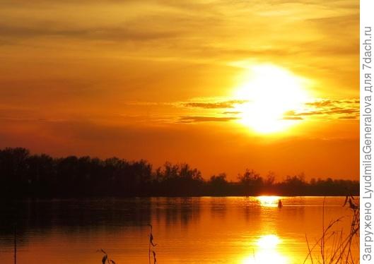 А на вечерний клёв, да с таким золотым закатом?!