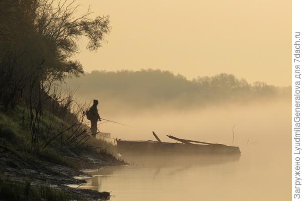 Утро туманное