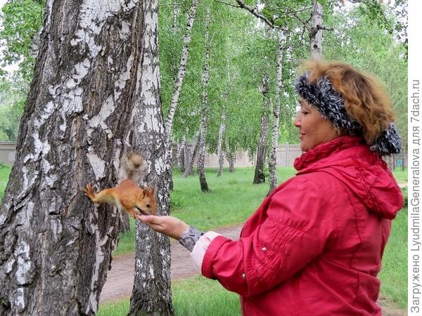 Одна лапка на берёзе, другая - на руке.