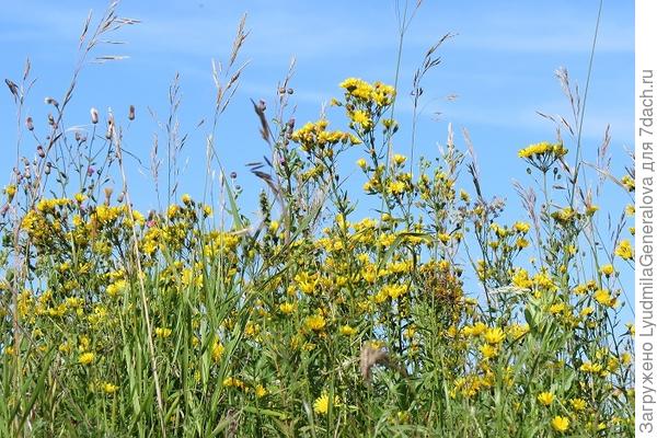 А это на обрывистом берегу