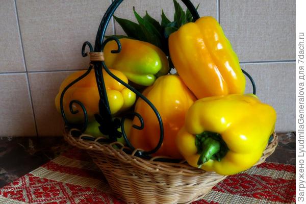 Корзинка со сладким перцем сорта  "Оранжевый Лев" для сайта "7 дач"