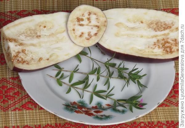 Плод баклажана в разрезе