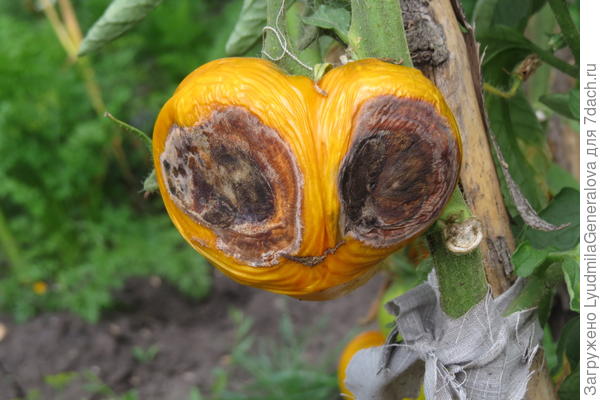 А "больных" в - бокс