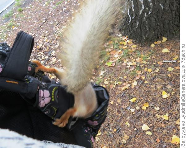 Секунда - и она уже в рюкзаке. Я говорю - &amp;quot;прости подруга, но там, к сожалению, - пусто.