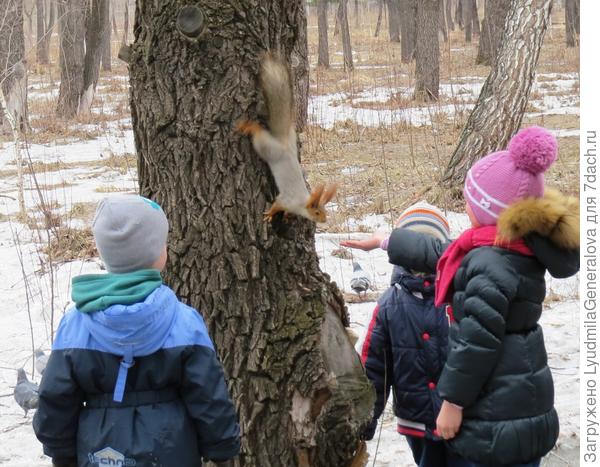 Детей белки почти не боятся. Если, конечно, они не  шумят.