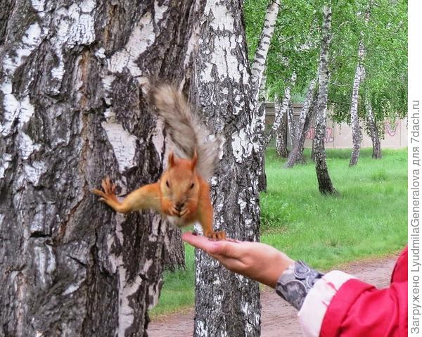 Растяжка!..